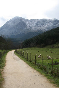 农村的风景图片