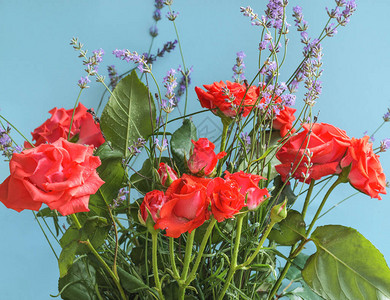 一束美丽的红玫瑰和薰衣草枝图片