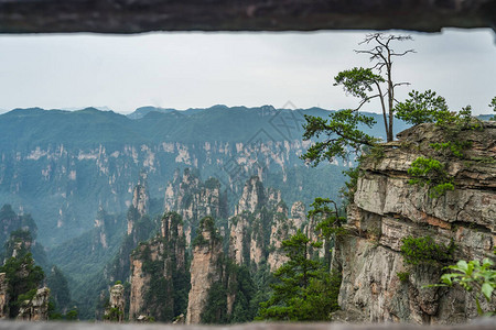 在湖南省伍林源Wwlingyuan著名的旅游景点张家吉公园天津山石柱图片