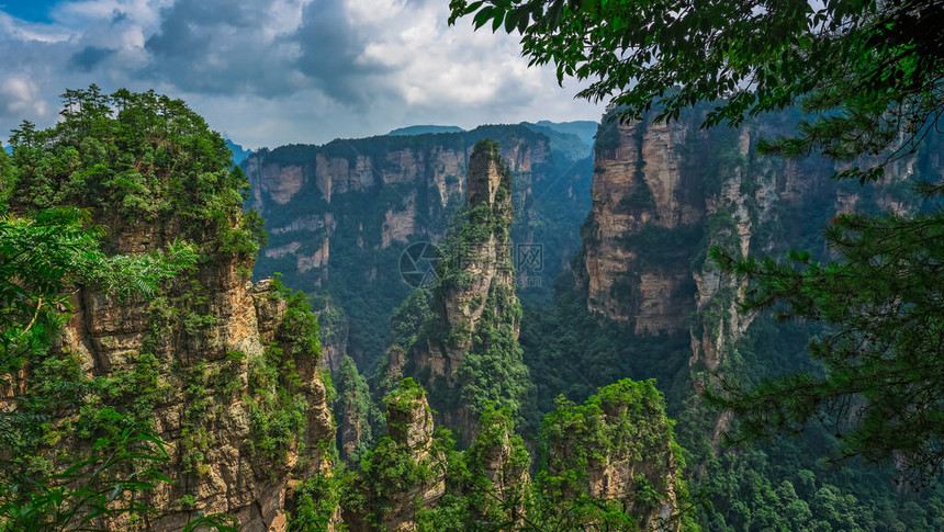 张家吉阿凡山自然公园张家杰图片