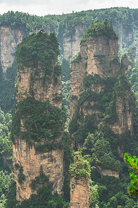 郭子凡张家吉阿凡山自然公园张家杰背景