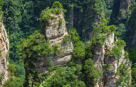 郭子凡张家吉阿凡山自然公园张家杰背景