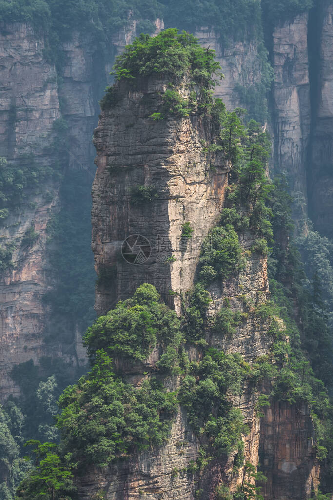 张家吉阿凡山自然公园张家杰图片