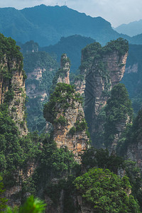 郭子凡张家吉阿凡山自然公园张家杰背景