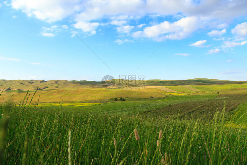 美丽的春天和夏日风景青山高图片