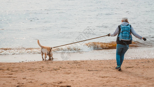 一个女孩和一个拉布多人猎食者沿着沙滩跑到水边图片
