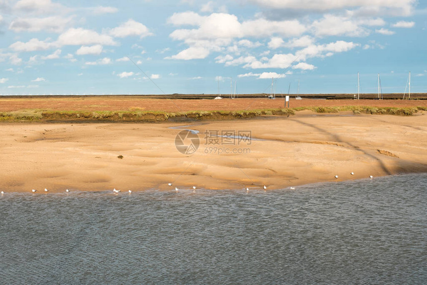 退潮时的盐沼景观图片