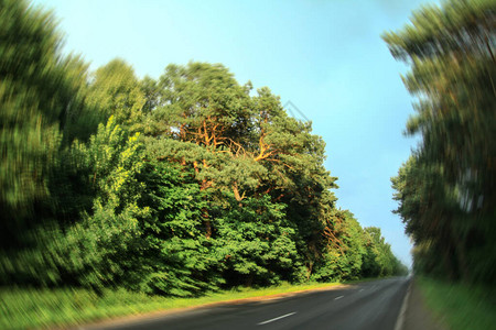 森林中的道路不专注于树木的背景图片