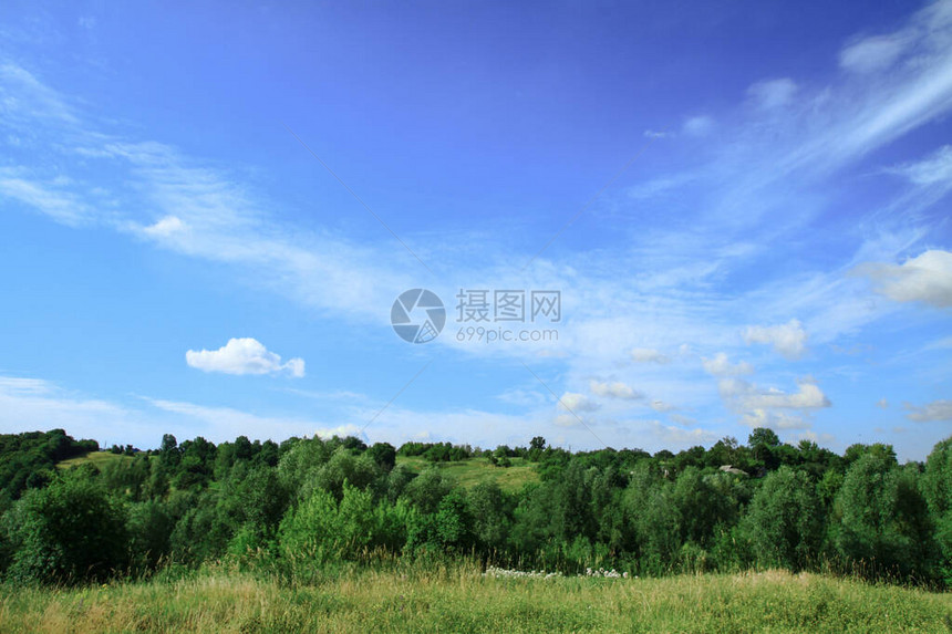 美丽的自然乡村夏季风景草绿植被和有山丘的树木图片