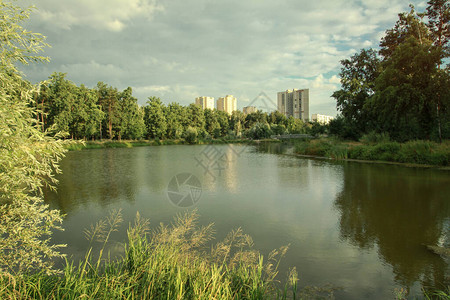 在公园水边建房子城市风景有美丽的森林和树木股面照片背景图片