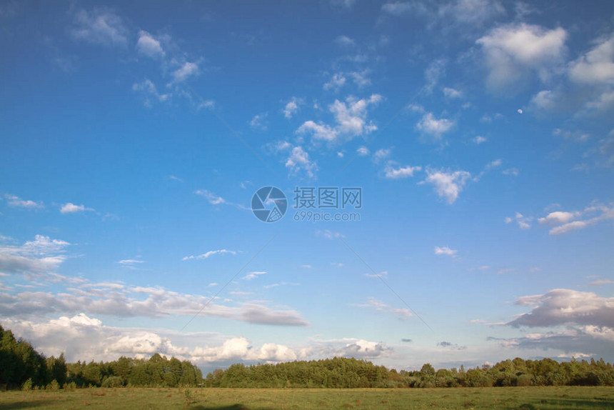 美丽的自然乡村夏季风景草绿植被和有山丘的树木图片