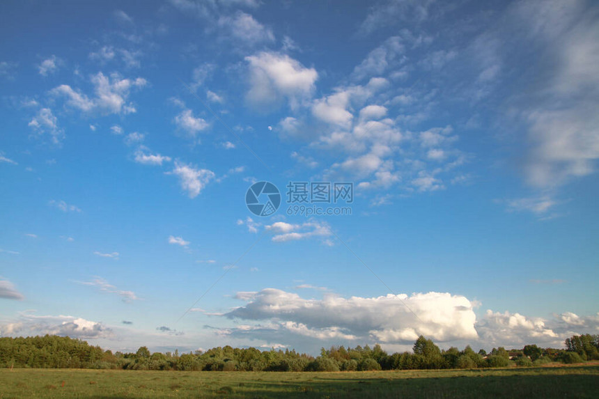 美丽的自然乡村夏季风景草绿植被和有山丘的树木图片