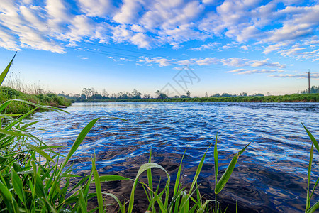 河上的夏日阳光黎明俄罗斯的性质空间河图片的照片夏季景观用于印刷产品杂志壁画美图片