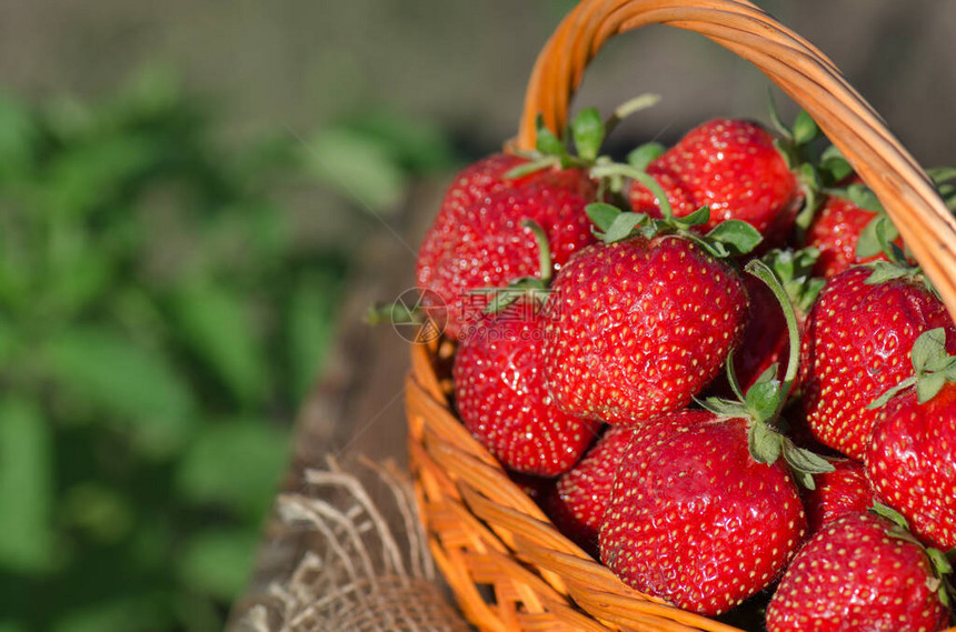 一篮子草莓天然草莓农业木桌上的篮子里新图片