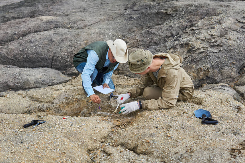 两个古生物学家从沙漠的地上图片
