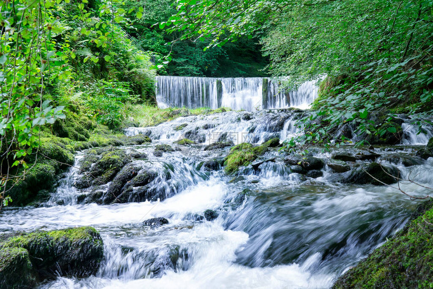 夏季绿色森林水瀑布地貌的美丽全景图片