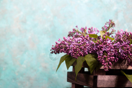 黑色混凝土背景的木箱上的紫色立拉克花束时髦花卉贺卡图片
