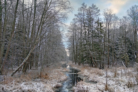 穿过冬季森林的小河景观图片