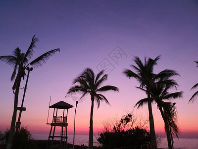 高楼救生塔的轮椅椰子树和灯柱再次在日落时傍晚海边的橙色和印图片