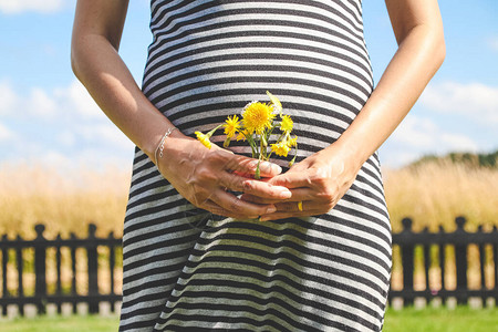 孕妇亲手赠送黄色野生花朵与阳光灿烂的图片