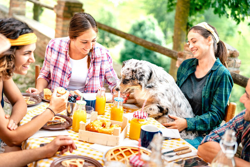年轻人在乡村农舍与可爱的小狗一起享用健康的picnic早餐另类生活方式概念与快乐的朋友在花园派对户外一起玩图片