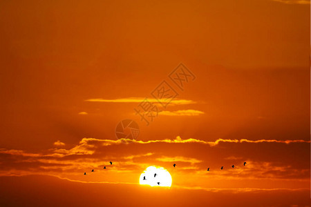 美丽的日落和双月光鸟飘扬红色白云和橙黄背景图片