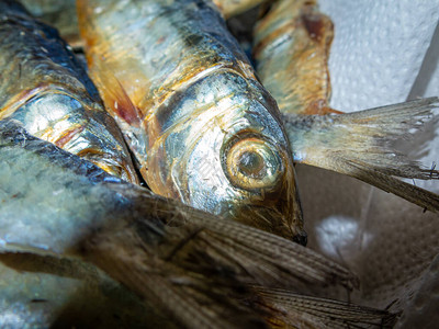 新鲜捕获的鱼碗里的鱼特写照片高品质照片图片