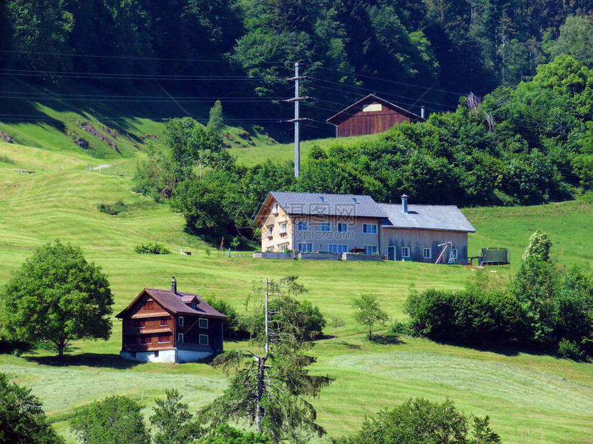 山坡和上托根堡地区的传统乡村建筑和畜牧场图片