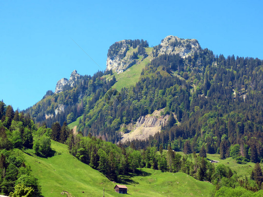 Alps山群和Obertoggenburg地区的阿尔卑斯山峰Schaer或Schar和Goggeien图片