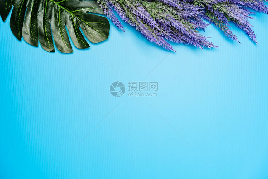 薰衣草花的平躺组合物顶视图图片