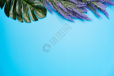 薰衣草花的平躺组合物顶视图图片