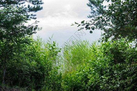 湖景照片自然风光图片