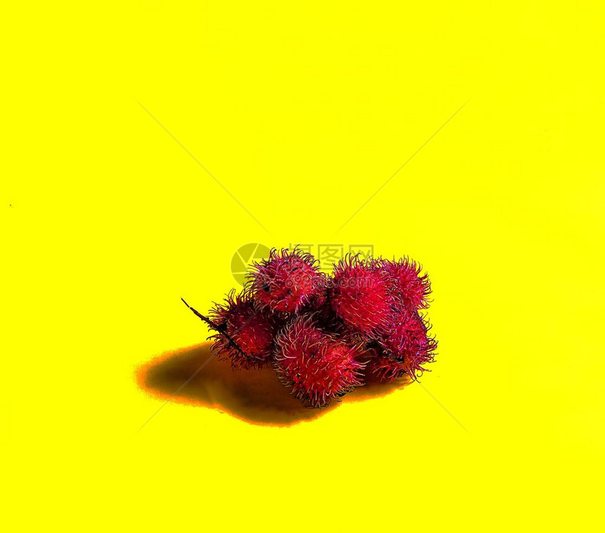黄背景的拉布丁水果来自亚图片