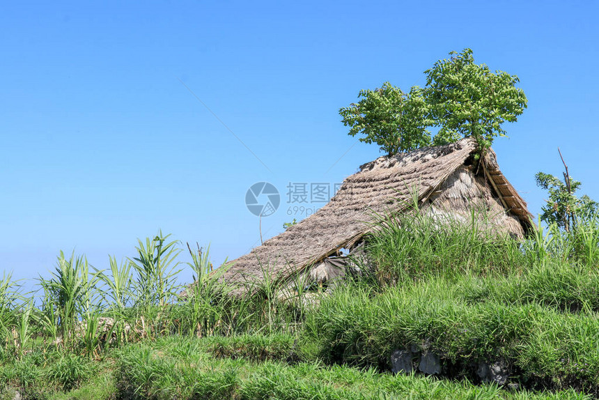 由可生物降解的竹秸秆和竹棍制成图片