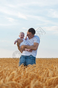 小麦田里的年轻父亲抱着婴儿周末在外图片