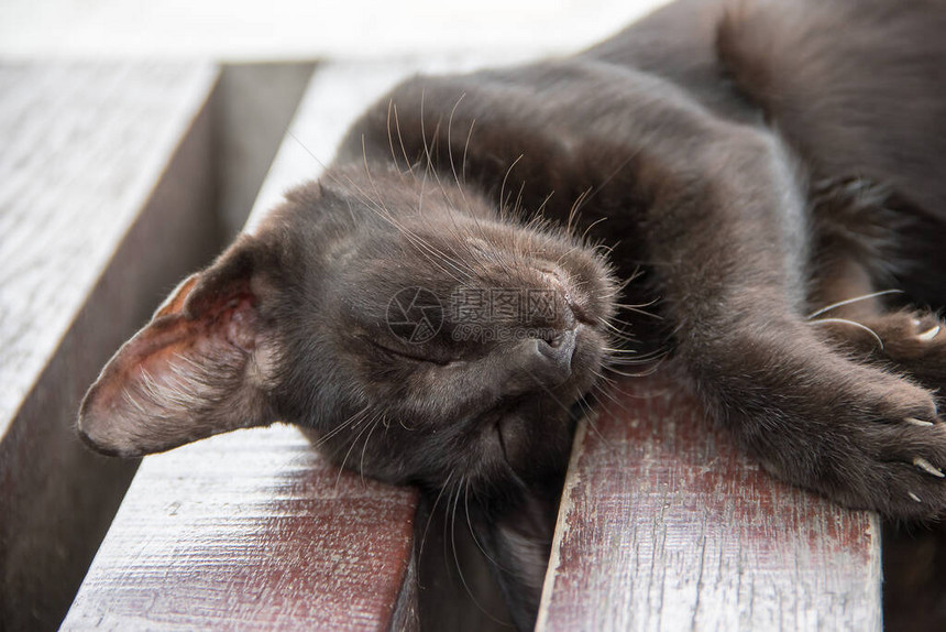 黑猫舒服地睡在木地板上图片