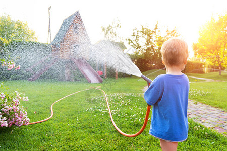 可爱的白种人金发蹒跚学步的男孩喜欢在阳光明媚的日子里在家后院用软管喷水器浇花和草坪儿童小帮手在夏季背景图片