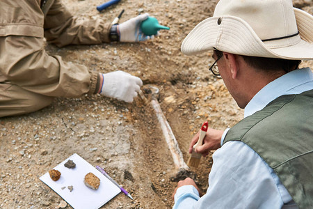 两个古生物学家从沙漠的地面上提取化石骨质专注于一个图片