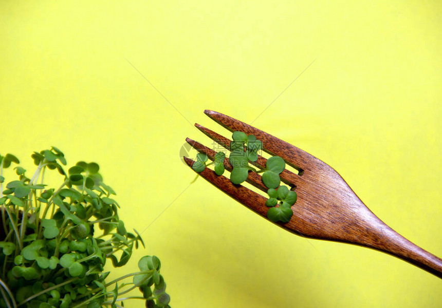 新鲜的微绿色和在黄色背景上生长的叉子新鲜花园农产品的健康饮食概念有机种植作为健康的象征来自大然的维生素平图片