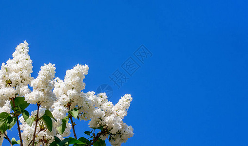 蓝色天空背景上的白银色图片