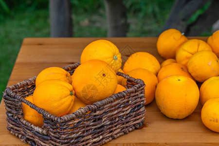 一篮新鲜的成熟有机橙子关闭在一个花园图片