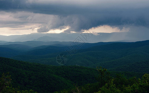 森林山上的雨雾蒙的山风景小山在雨天在风雨如磐的夏日图片