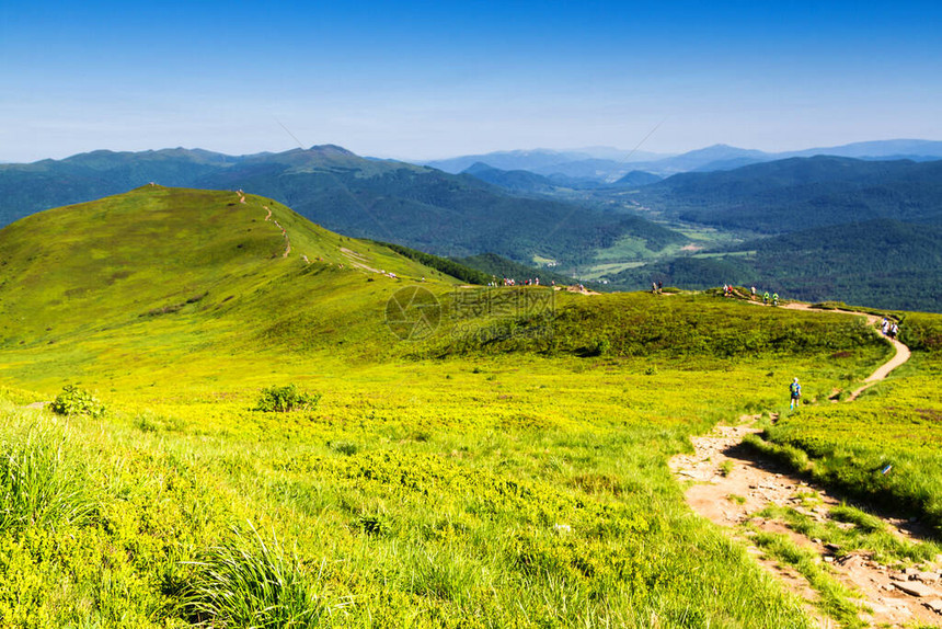 山景Bieszczady公园草原和森林全景喀尔巴阡山脉景观图片