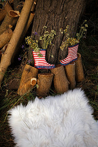 美国生日晚会的花园装饰摄影区图片