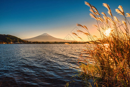 日本藤川口子日落时富士山在川口子湖上图片
