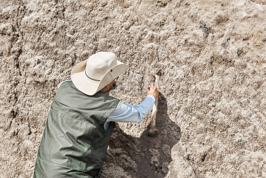古生物学家发现化石骨头用刷图片