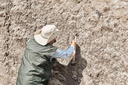 古生物学家发现化石骨头用刷图片