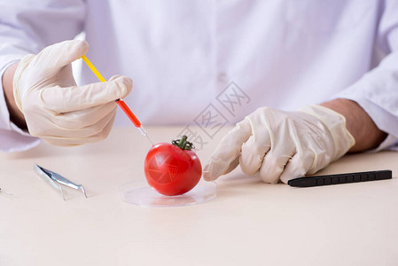 在实验室测试食品的男营养专家图片
