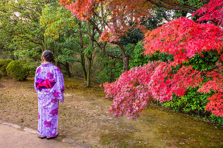 穿着传统日本和服的女孩在日本京都的花园里享受图片