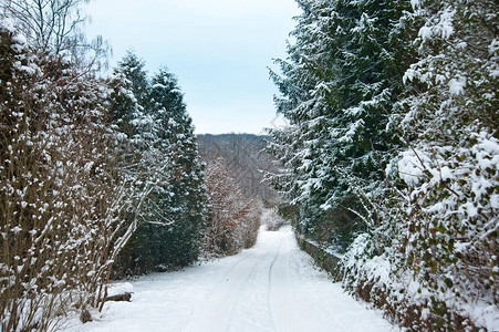 山上的道路满是雪图片